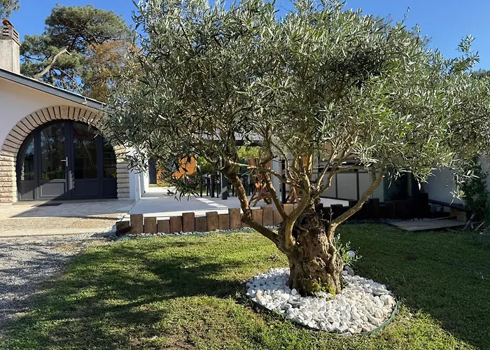 Villa Dune & Ocean