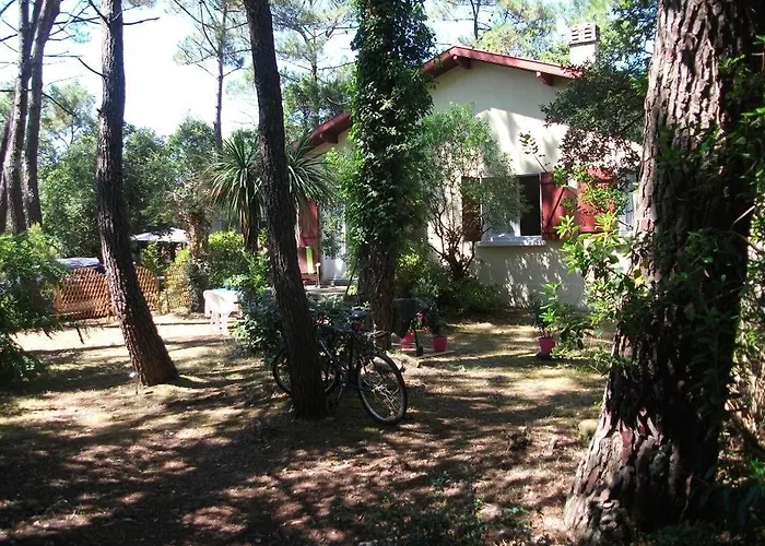 House 200 M From Beach And Forest Path